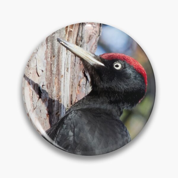Item preview, Black woodpecker vertical designed and sold by Jouko Lehto Photography.