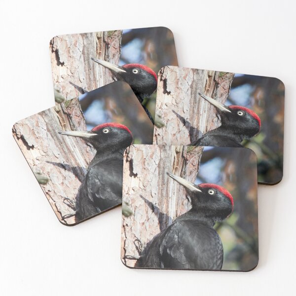 Item preview, Black woodpecker vertical designed and sold by Jouko Lehto Photography.