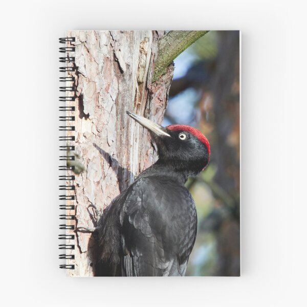 Item preview, Black woodpecker vertical designed and sold by Jouko Lehto Photography.