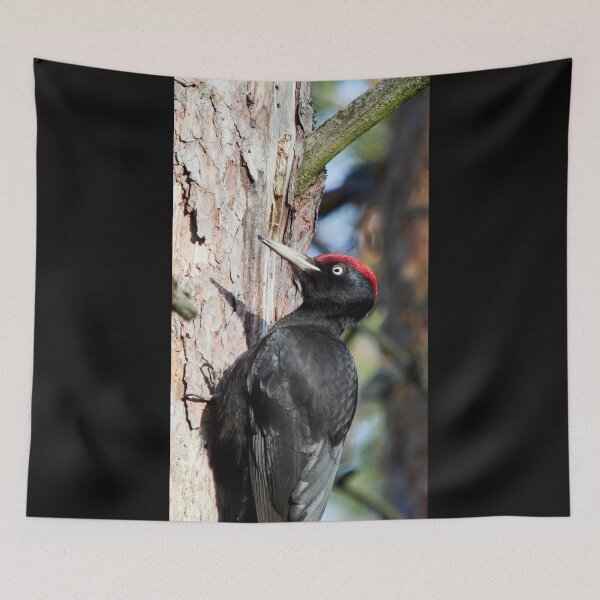 Item preview, Black woodpecker vertical designed and sold by Jouko Lehto Photography.