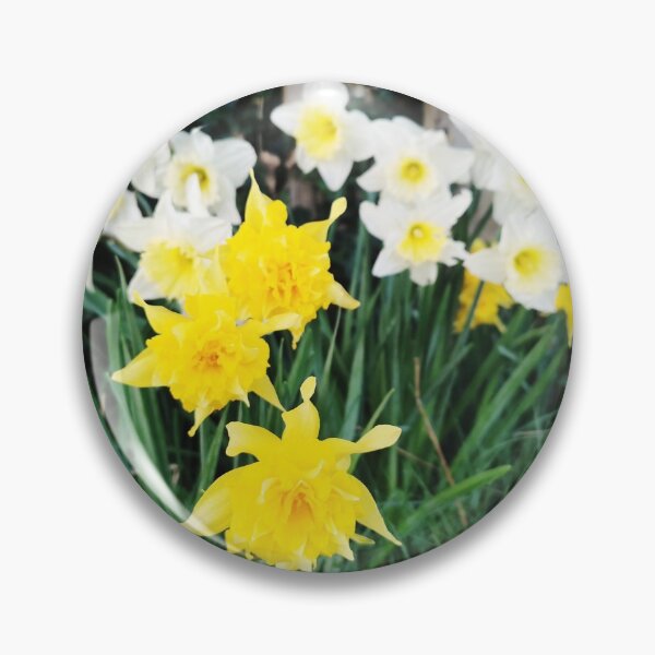 Item preview, Daffodils  designed and sold by neilirving.