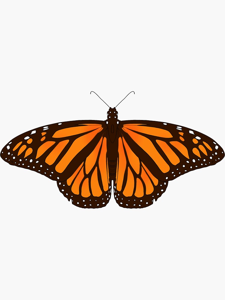 Monarch Butterfly Sticker By Abigailee Redbubble 