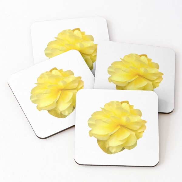 Item preview, Yellow Double Begonia Bloom on White designed and sold by InalterataArt.