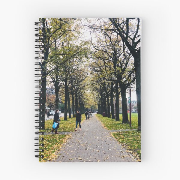 Item preview, Amsterdam city travel photography wall art, print art. designed and sold by Noel Ali ⭐⭐⭐⭐⭐.