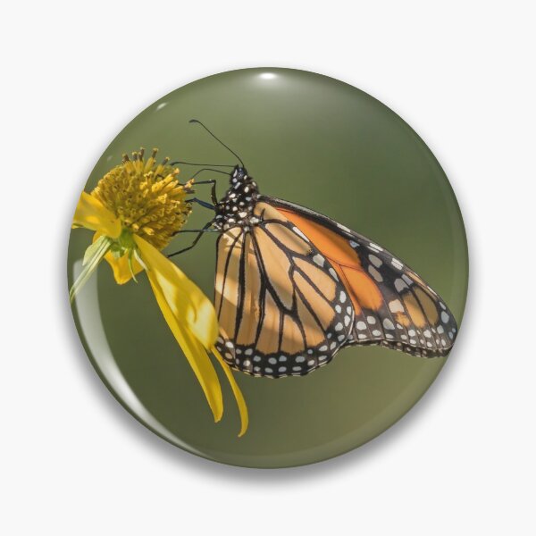 Item preview, Fall Monarch 2016-17 designed and sold by Thomasyoung.