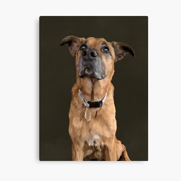 Portrait de Monty Impression sur toile