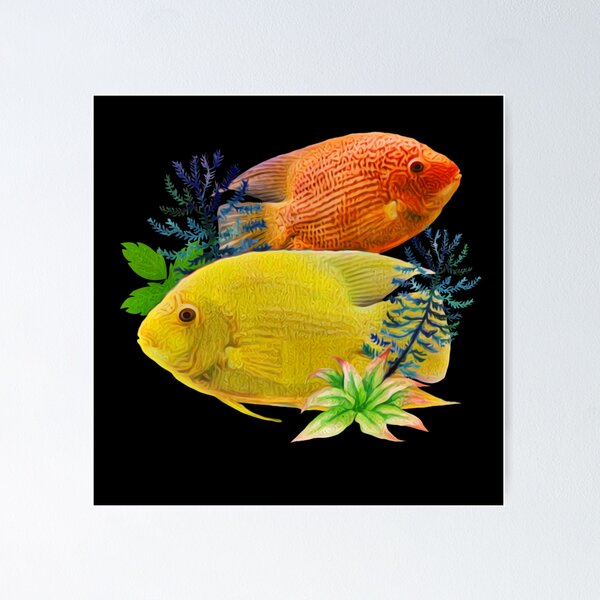 Item preview, Severums Cichlids Aquarium Breeders Fish Tank  designed and sold by Catxel.
