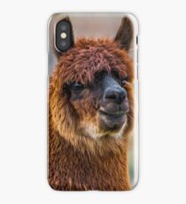 Alpaca Close-up on Utah Farm iPhone Case