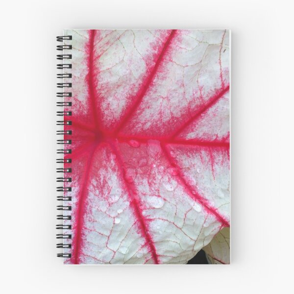 Item preview, Caladium And Raindrops designed and sold by WildestArt.