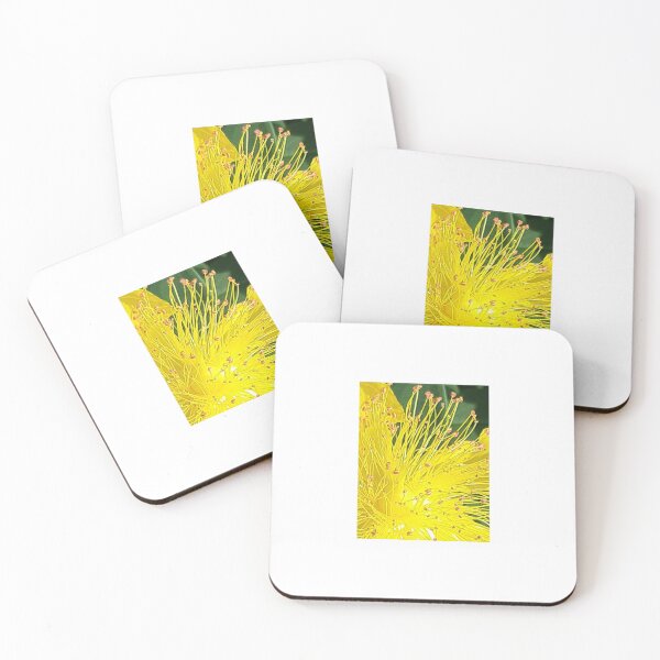 Item preview, Stamen Explosion  designed and sold by Valerie Holtz.