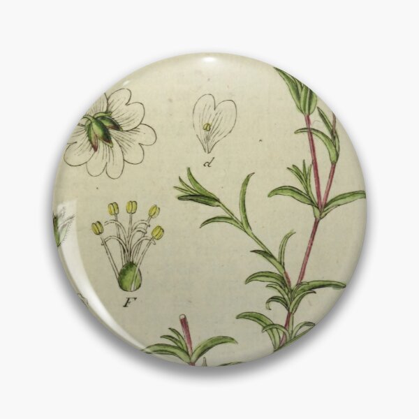 Artikelvorschau, Vintage botanische Illustration 075 entworfen und verkauft von Txxmstore.