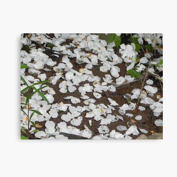 Item preview, Fallen Petals designed and sold by Martha Medford.