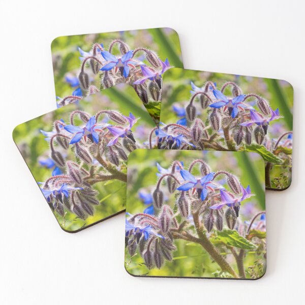 Item preview, Borage Flowers  designed and sold by jojobob.