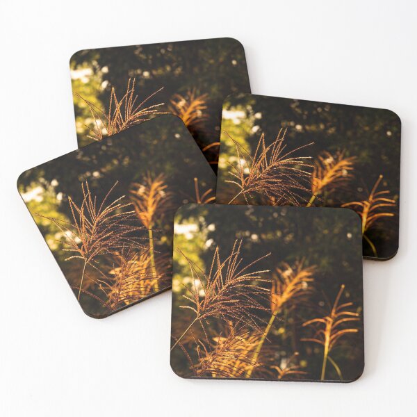 Item preview, Golden sunlight plant designed and sold by TinyOwlsFoto.