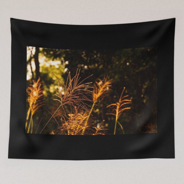 Item preview, Golden sunlight plant designed and sold by TinyOwlsFoto.