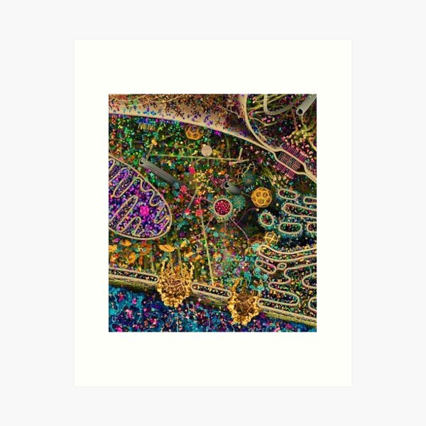 Human Cell Detailed, Biologist/Scientist/Science Lover Art Print