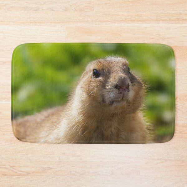 Item preview, Black tailed-prairie dog designed and sold by rawshutterbug.