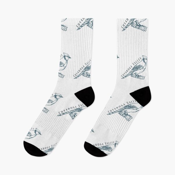 Item preview, Cuyahoga Valley blue jay park logo designed and sold by TheWaterBirds.