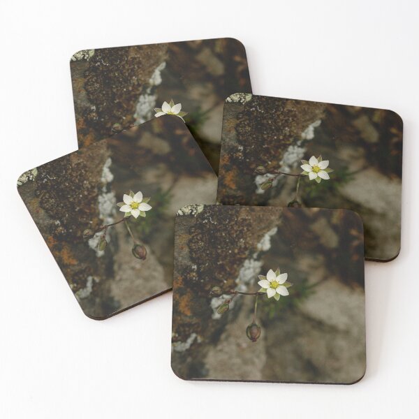 Item preview, Doldige Spurre designed and sold by NW-Photo-Art.