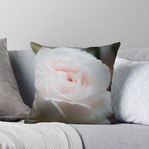 Item preview, Mme Alfred Carriere - Rose designed and sold by CallyM.