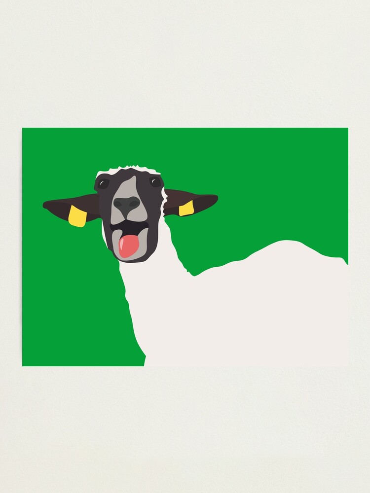 Screaming Sheep BY005