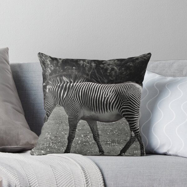 Aperçu de l'œuvre Camo Zebra créée et vendue par Ed Hemming.