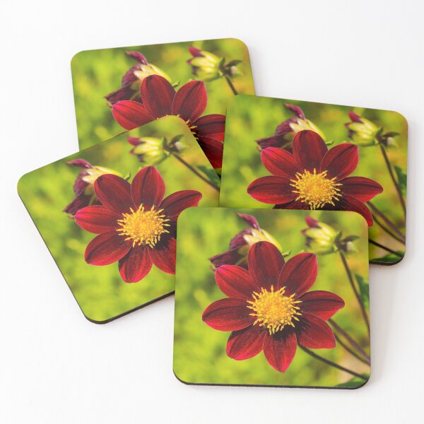 Item preview, Bishop Of Auckland Dahlia designed and sold by jojobob.
