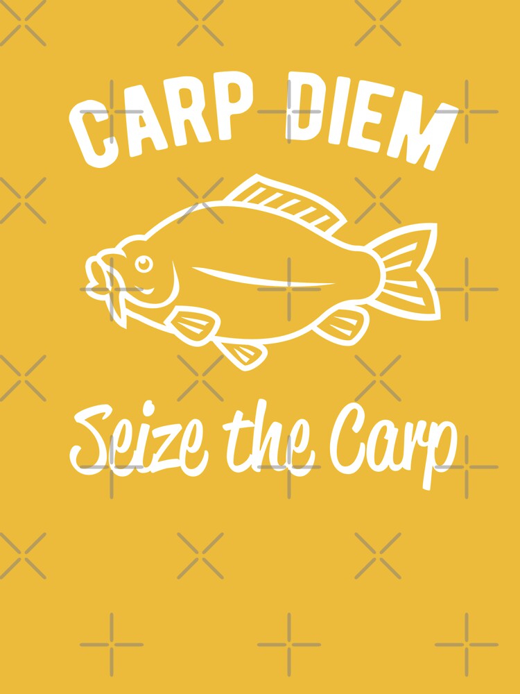 Carpe Diem Seize The Carp 12 X 8 Funny Tin Sign Bait And Tackle