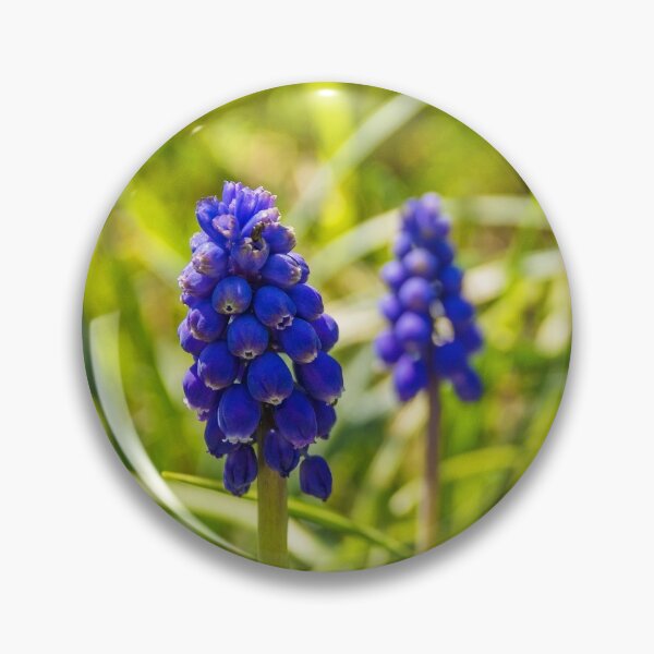 Item preview, Muscari designed and sold by jojobob.