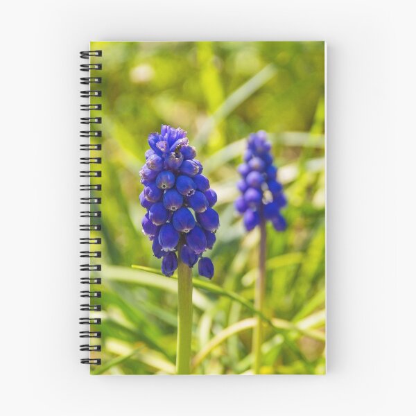 Item preview, Muscari designed and sold by jojobob.