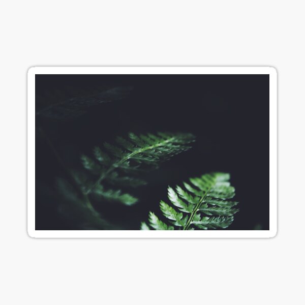 Dark Green Leaves Plant Nature Blur Sticker