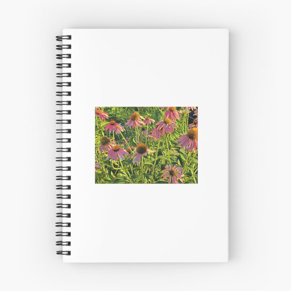 Aperçu de l'œuvre Coneflowers en août créée et vendue par Redhead1022.