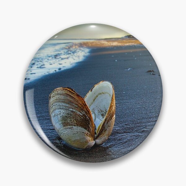 Item preview, Open Clam designed and sold by colorfulbundles.