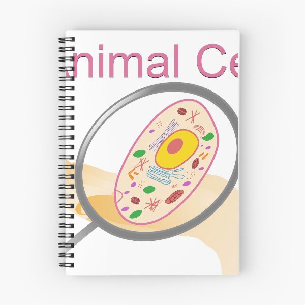 Item preview, A vector illustration of an animal cell with labels on white background. designed and sold by ikshvaku.