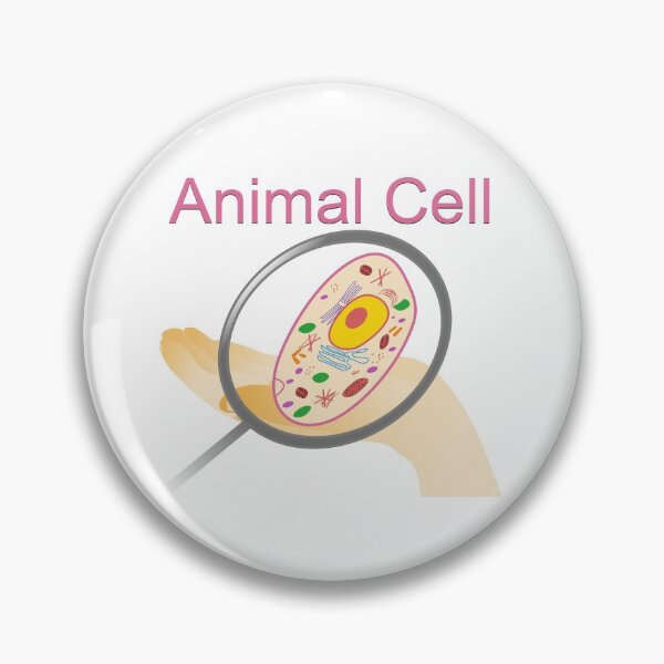 Item preview, A vector illustration of an animal cell with labels on white background. designed and sold by ikshvaku.