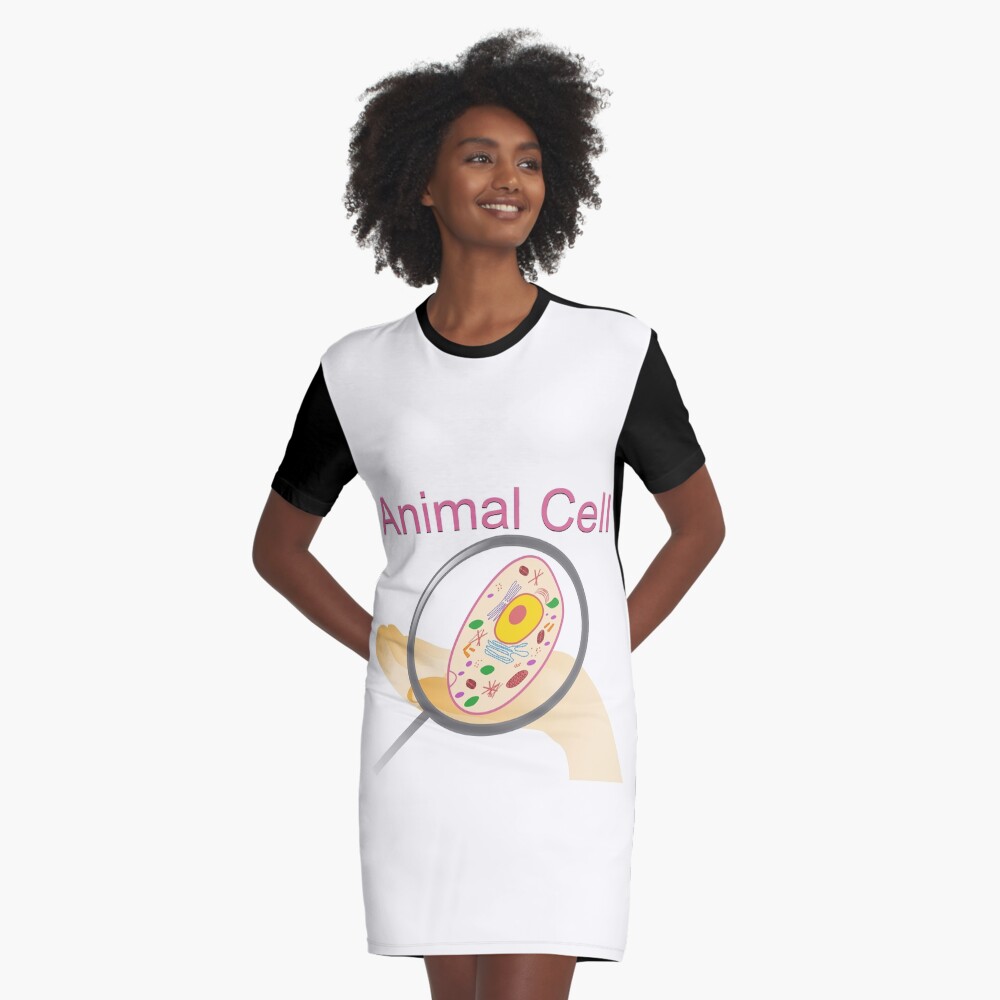 A vector illustration of an animal cell with labels on white background. A vector illustration of an animal cell with labels on white background.