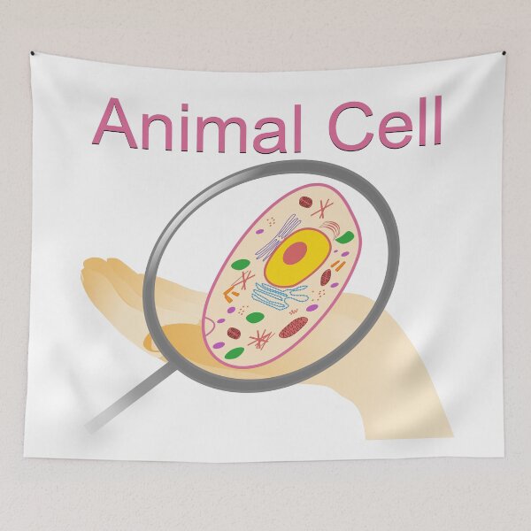 Item preview, A vector illustration of an animal cell with labels on white background. designed and sold by ikshvaku.