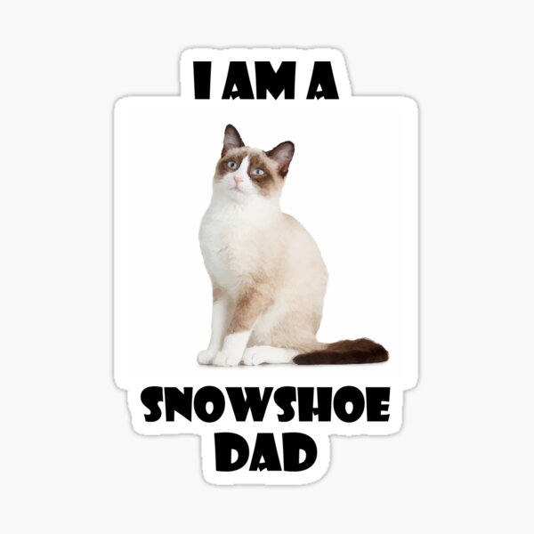 Snowshoe Cat Stickers Redbubble