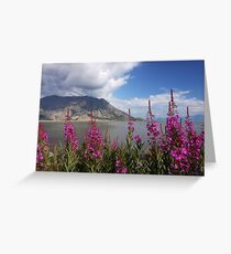 Fireweed at Kluane Lake Greeting Card