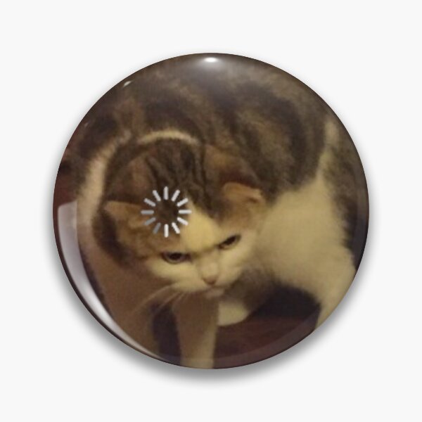 Angry Cat Meme Pin