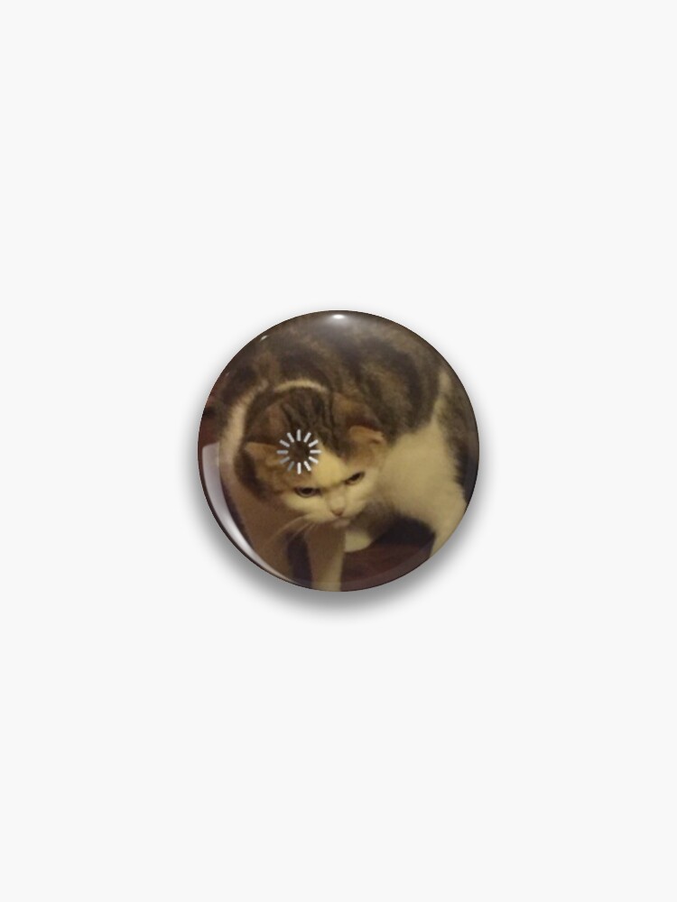 Angry Cat Meme Pin