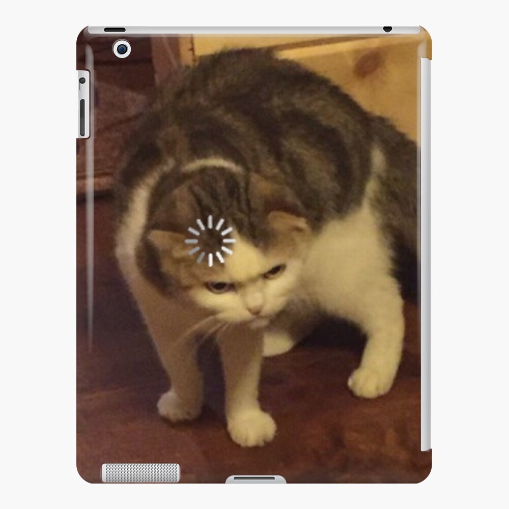 angry cat face meme iPad Case & Skin by auroragalavis