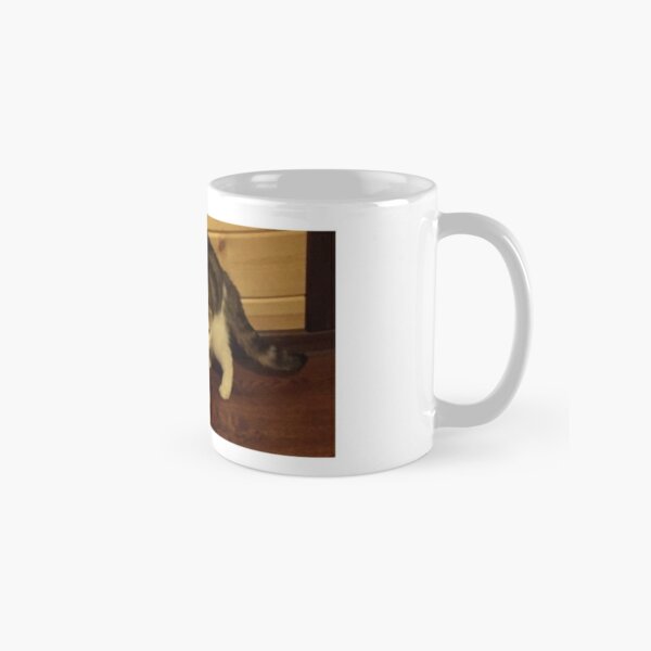 https://ih1.redbubble.net/image.2299170623.1649/mug,standard,x334,right-pad,600x600,f8f8f8.jpg