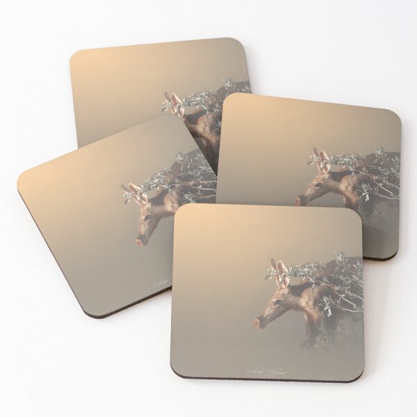 Item preview, Secretive Aardvark designed and sold by Melanie Delamare.