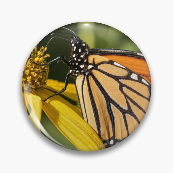 Item preview, Fall Monarch 2016-18 designed and sold by Thomasyoung.