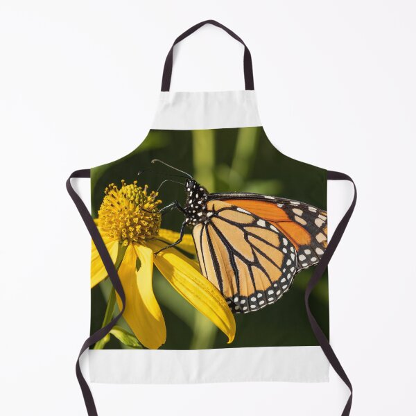 Item preview, Fall Monarch 2016-18 designed and sold by Thomasyoung.