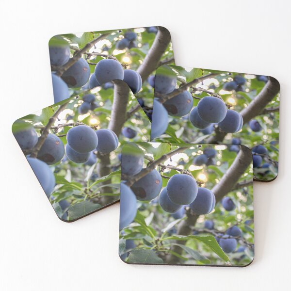 Item preview, Large branch with lots of plums designed and sold by Mahirov Shop.
