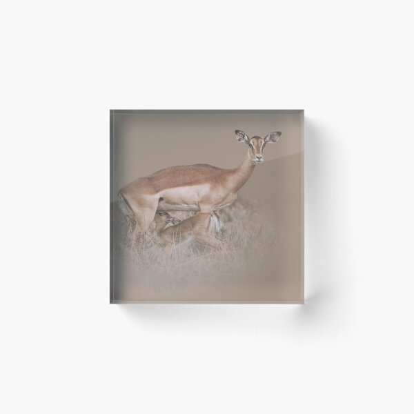 Item preview, Impala's Beauty  designed and sold by Melanie Delamare.