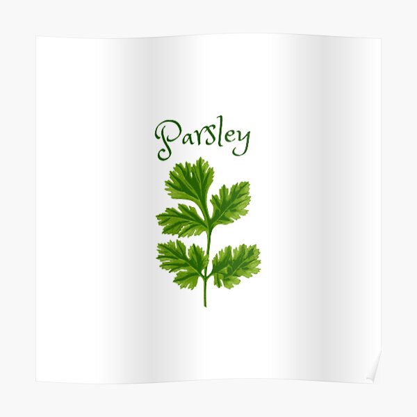 "Delicate parsley design in dark and light green with herbal name tag