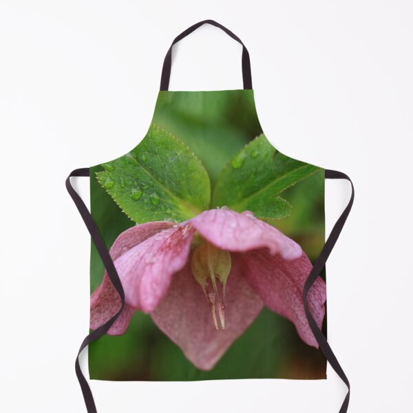 Item preview, Lenten Rose designed and sold by StampCity.